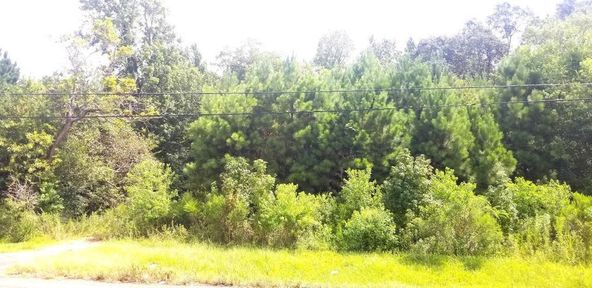 Land For Sale: 344 N Lhs Dr, Lumberton, TX 77657